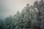 c. Snowy countryside (102) (720x481, 70.3 kilobytes)