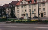 a. Roadside Spring flowers in Heidelberg (110) (720x460, 86.0 kilobytes)