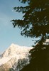 Chamonix France (115) (356x512, 52.6 kilobytes)