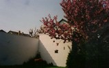 b. Spring in Burstadt (101) (720x452, 53.2 kilobytes)