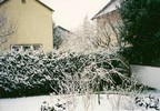 d. Winters day in Buerstadt (102) (670x466, 116.6 kilobytes)