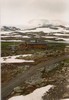c. By train and boat over the Roof of Norway (107) (353x512, 53.4 kilobytes)