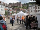 d. Heidelberg Old City (806) (720x540, 129.2 kilobytes)