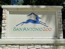 San Antonio Zoo (102) (900x675, 106.9 kilobytes)