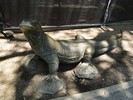 San Antonio Zoo (114) (900x675, 174.4 kilobytes)
