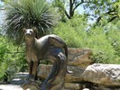 San Antonio Zoo (166) (900x675, 248.4 kilobytes)