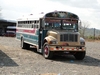 B. Panamanian Painted Buses (186) (900x675, 290.6 kilobytes)