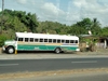 B. Panamanian Painted Buses (188) (900x675, 238.0 kilobytes)