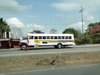 B. Panamanian Painted Buses (189) (900x675, 211.4 kilobytes)