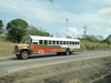 B. Panamanian Painted Buses (190) (900x675, 201.9 kilobytes)