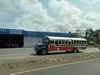 B. Panamanian Painted Buses (191) (900x675, 189.1 kilobytes)