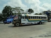 B. Panamanian Painted Buses (192) (900x675, 236.2 kilobytes)