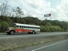 B. Panamanian Painted Buses (193) (900x675, 231.6 kilobytes)