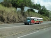 B. Panamanian Painted Buses (194) (900x675, 282.0 kilobytes)