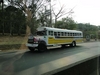 B. Panamanian Painted Buses (196) (900x675, 233.7 kilobytes)