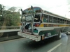 B. Panamanian Painted Buses (197) (900x675, 196.5 kilobytes)