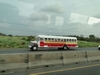 B. Panamanian Painted Buses (200) (900x675, 136.1 kilobytes)