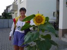 Janet-Anne's Sun Flower (600x450, 58.7 kilobytes)