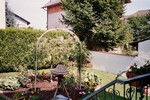 Our Back Garden (600x400, 109.7 kilobytes)
