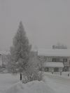 Oberndorf ski week - Jan 2004 (115) (384x512, 17.9 kilobytes)
